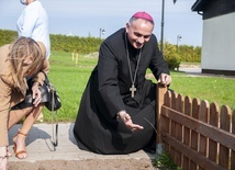 Żonkile rosną mimo pandemii. Pola Nadziei w Darłowie 