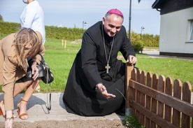 Żonkile rosną mimo pandemii. Pola Nadziei w Darłowie 