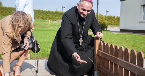 Żonkile rosną mimo pandemii. Pola Nadziei w Darłowie 