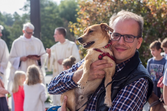 Niedziela św. Franciszka