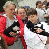 Dzięki Bogu za stworzenie. Niedziela św. Franciszka w Tymieniu