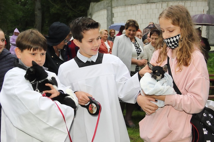 Niedziela św. Franciszka w Tymieniu