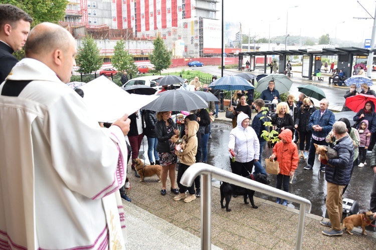 Świętowanie w parafii św. Franciszka z Asyżu