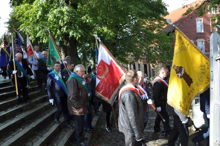 Pielgrzymka hodowców gołębi i orkiestr kalwaryjskich