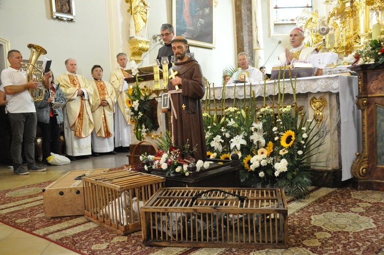 Pielgrzymka hodowców gołębi i orkiestr kalwaryjskich