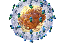 Hepatis C Virus (HCV)