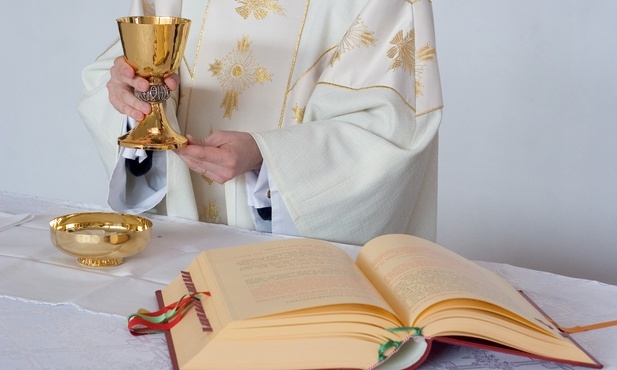 Inspiracją były m.in. słowa papieża Franciszka: "Najlepszym osiągnięciem i najbardziej skutecznym rozwiązaniem, jakie możemy dać ofiarom, ludowi Świętej Matki Kościoła i całemu światu, jest dążenie do nawrócenia osobistego i wspólnotowego, pokora uczenia się, słuchania, pomagania i chronienia najbardziej bezbronnych".