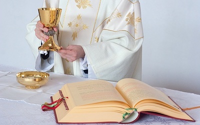 – Chcielibyśmy, aby celebransi ofiarowali za nich sprawowaną przez siebie Eucharystię, prosząc o doświadczenie uzdrawiającej mocy Jezusa oraz sprawiedliwości – tłumaczy ks. Nawrot. 