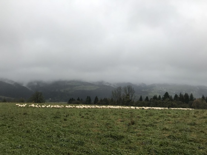 II Górskie Rekolekcje "Idę za Nim"