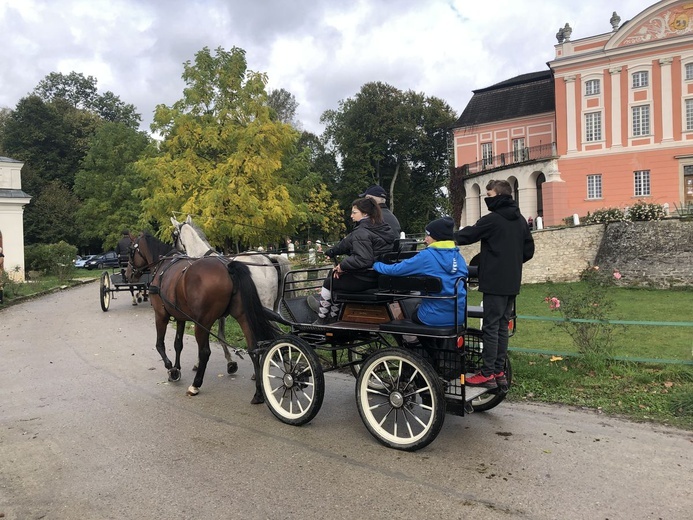 Konkurs jeździecki w Kurozwękach