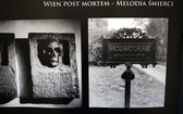 Wiedeń - post mortem