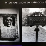 Wiedeń - post mortem