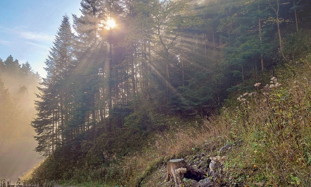 Pieniny: kraina światła,  które pokonuje mgłę.