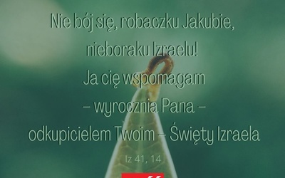 #dzielmysięsłowem dzień 4.