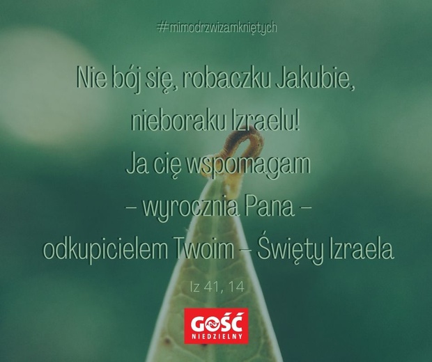 #dzielmysięsłowem dzień 4.