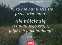 #dzielmysięsłowem dzień 5.