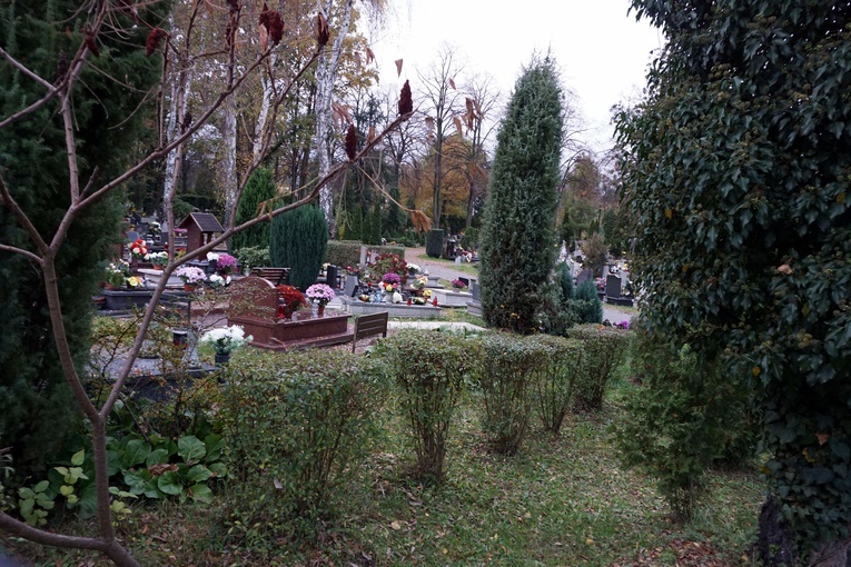Zamknięty cmentarz Centralny