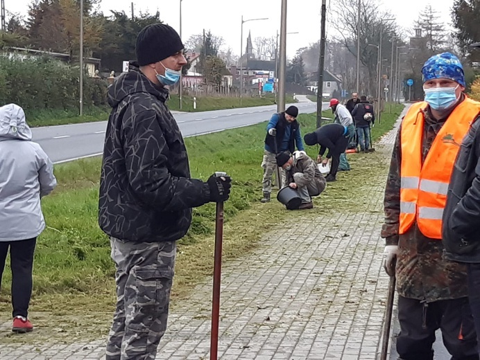 Nietypowe "Pola Nadziei" w Darłowie