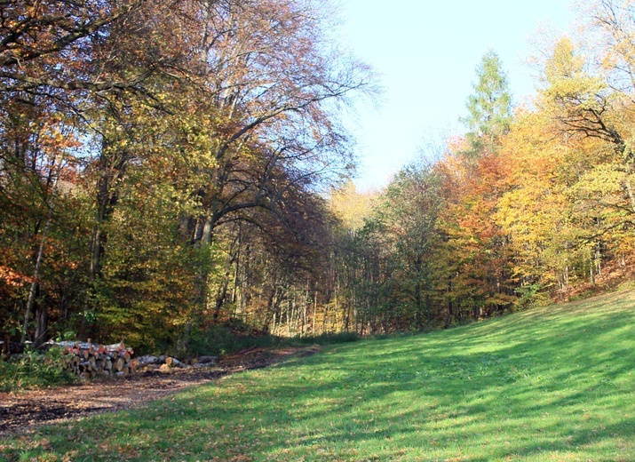 Czarnocin: Szwajcaria Śląska