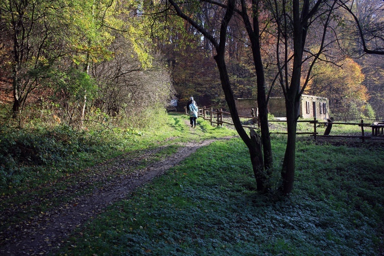 Czarnocin: Szwajcaria Śląska