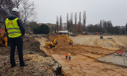 Sosnowiec. Ruszyła nietypowa akcja... przesadzania trzydziestu drzew  