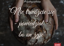 #dzielmysięsłowem dzień 14.