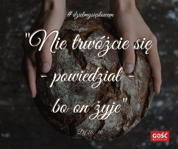 #dzielmysięsłowem dzień 14.