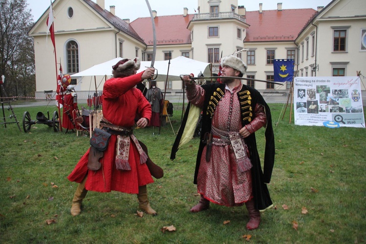 Piknik historyczny w Dzikowie