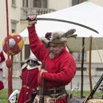 Piknik historyczny w Dzikowie