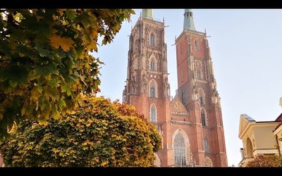 Transmisja Mszy św. z katedry wrocławskiej  w 33. niedzielę zwykłą - 15 listopada 2020.