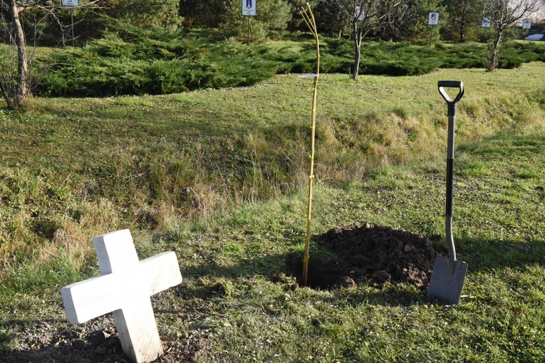 Ofiarom wypadków drogowych - Zabawa 2020 