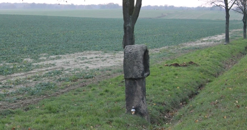 Świadkowie historii