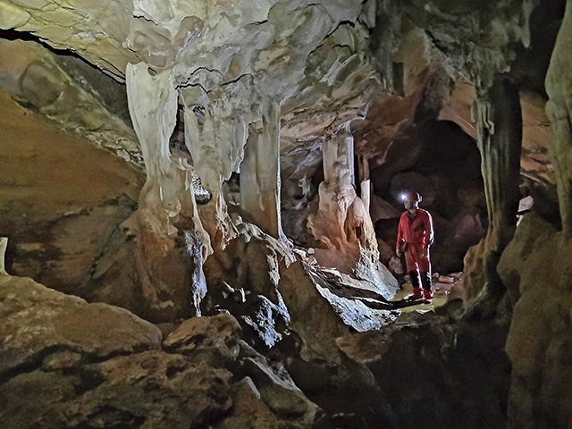  W jaskini Manguruba na Madagaskarze