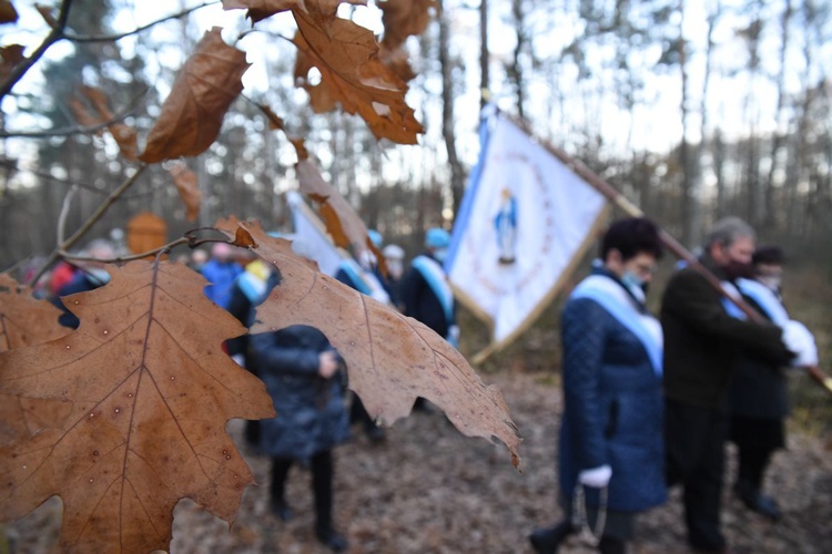 Na szlaku męczeństwa bł. Karoliny - 18 listopada