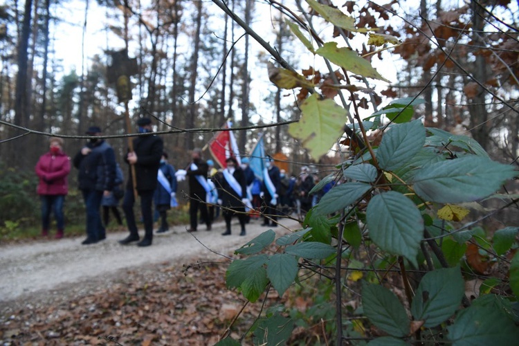 Na szlaku męczeństwa bł. Karoliny - 18 listopada