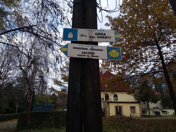 Brzesko-Będzin-Sączów. Rodzinne pielgrzymowanie drogą św. Jakuba