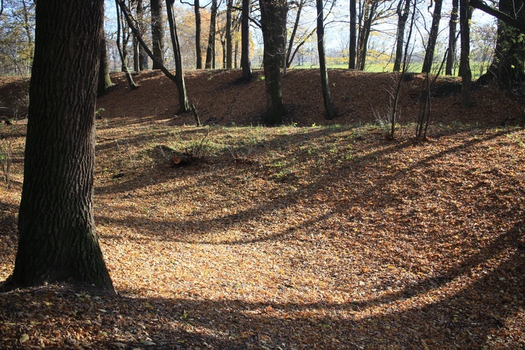 Tempelberg. Śladami legend o templariuszach