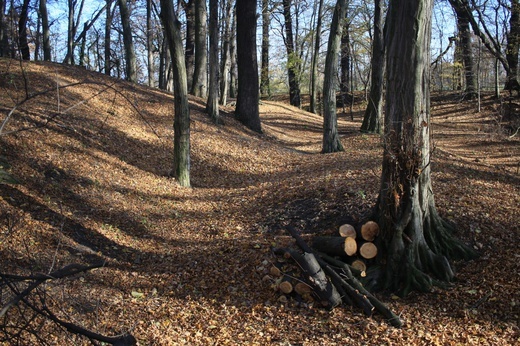 Tempelberg. Śladami legend o templariuszach