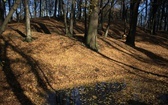 Tempelberg. Śladami legend o templariuszach