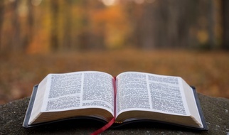 15.11.2020 | Lepiej dostać mało, czy dużo?