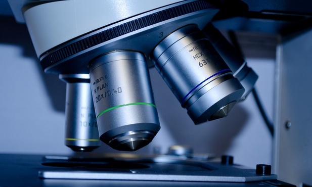 Premier powołał pełnomocnika ds. rozwoju sektora biotechnologii