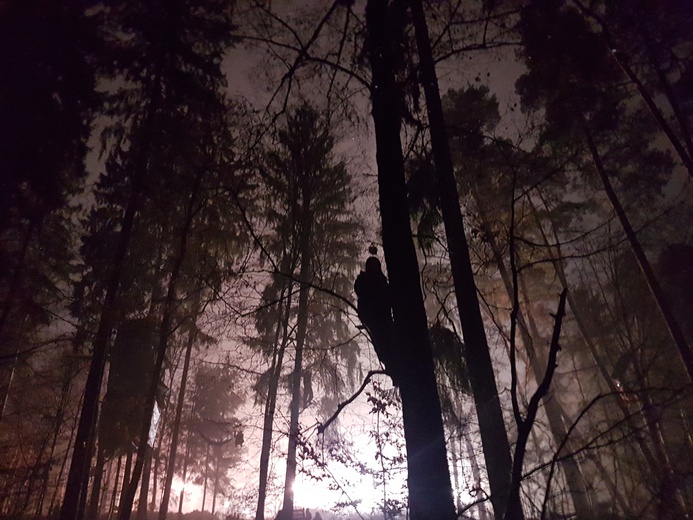 Niemcy: Ekolodzy kontra policja - brutalne starcia w lesie Dannenroed