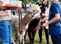 ▲	Święto Stworzenia przy kościele na Bemowie. 