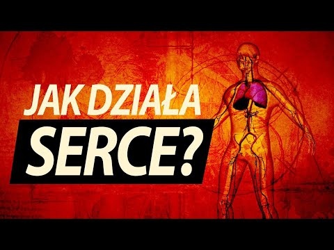 Jak działa serce?