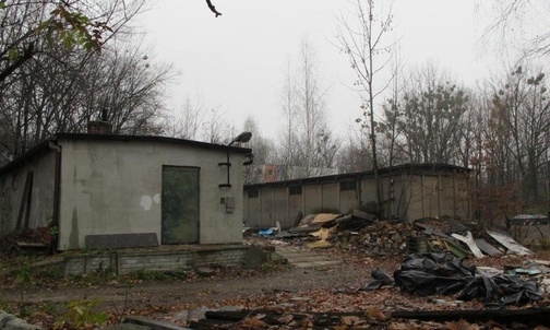 Chorzów. Radni zgodzili się na budowę osiedla w sąsiedztwie Parku Śląskiego [ZDJĘCIA]