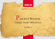 W ciemności nie ma życia