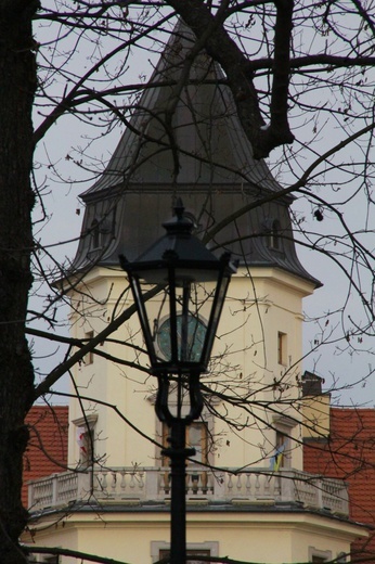 Nowe oświetlenie w parku dzikowskim