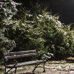 Nowe oświetlenie w parku dzikowskim