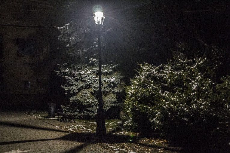 Nowe oświetlenie w parku dzikowskim