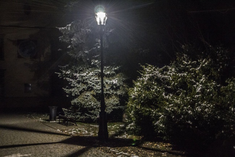 Nowe oświetlenie w parku dzikowskim